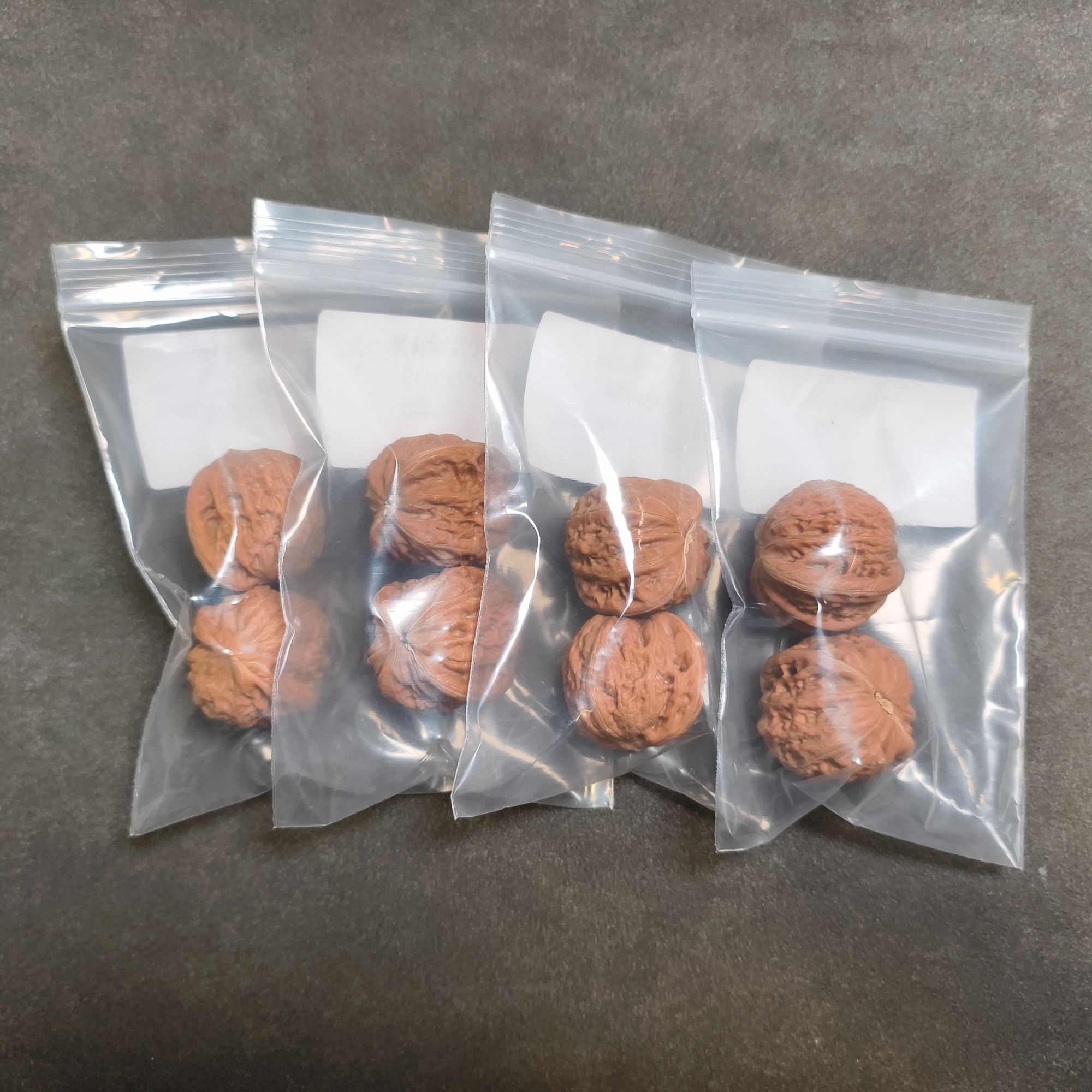 全品铁锤妹妹（不限尺放漏/加灯牌700一对）