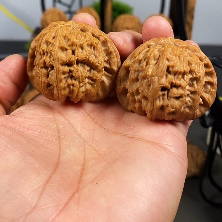 把件文玩核桃红皮白狮子骨质超棒43尺寸