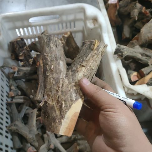 钓***叔大果紫檀（缅甸花梨）