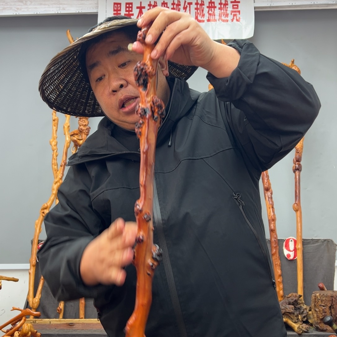 黑果木其他黑果木837