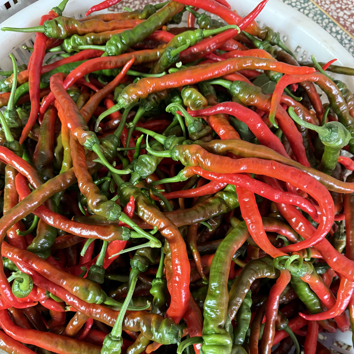 中辣 湖南正宗特香本地新鲜红辣椒口感甜润香辣皮薄 顺丰包邮