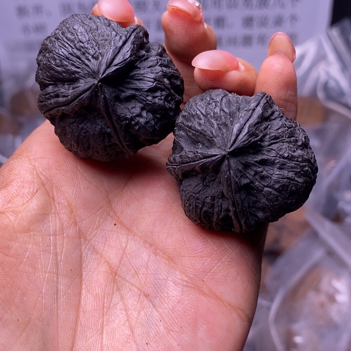 核桃云南野生铁核桃113号37mm