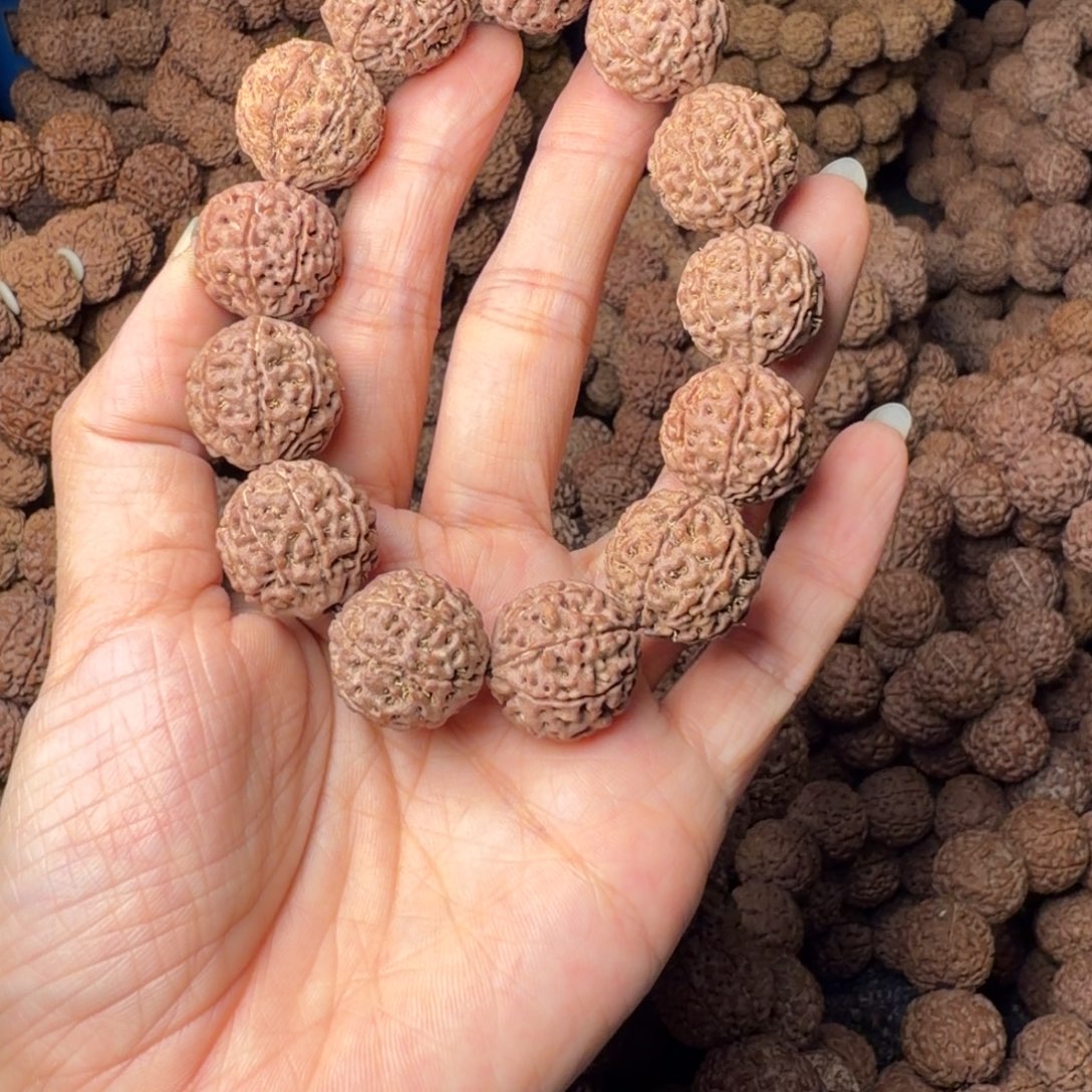 金刚菩提手串8瓣卡18尺，29号