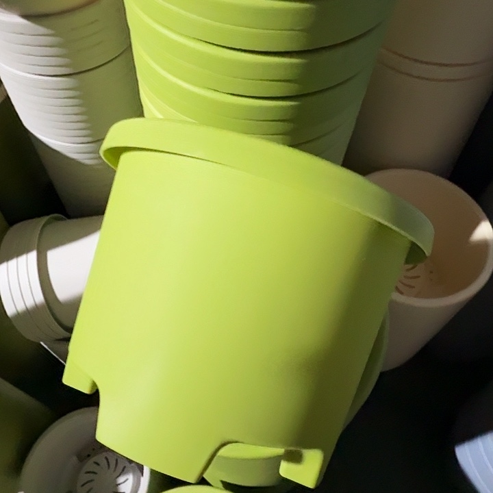 球根盆3号果绿无托6个