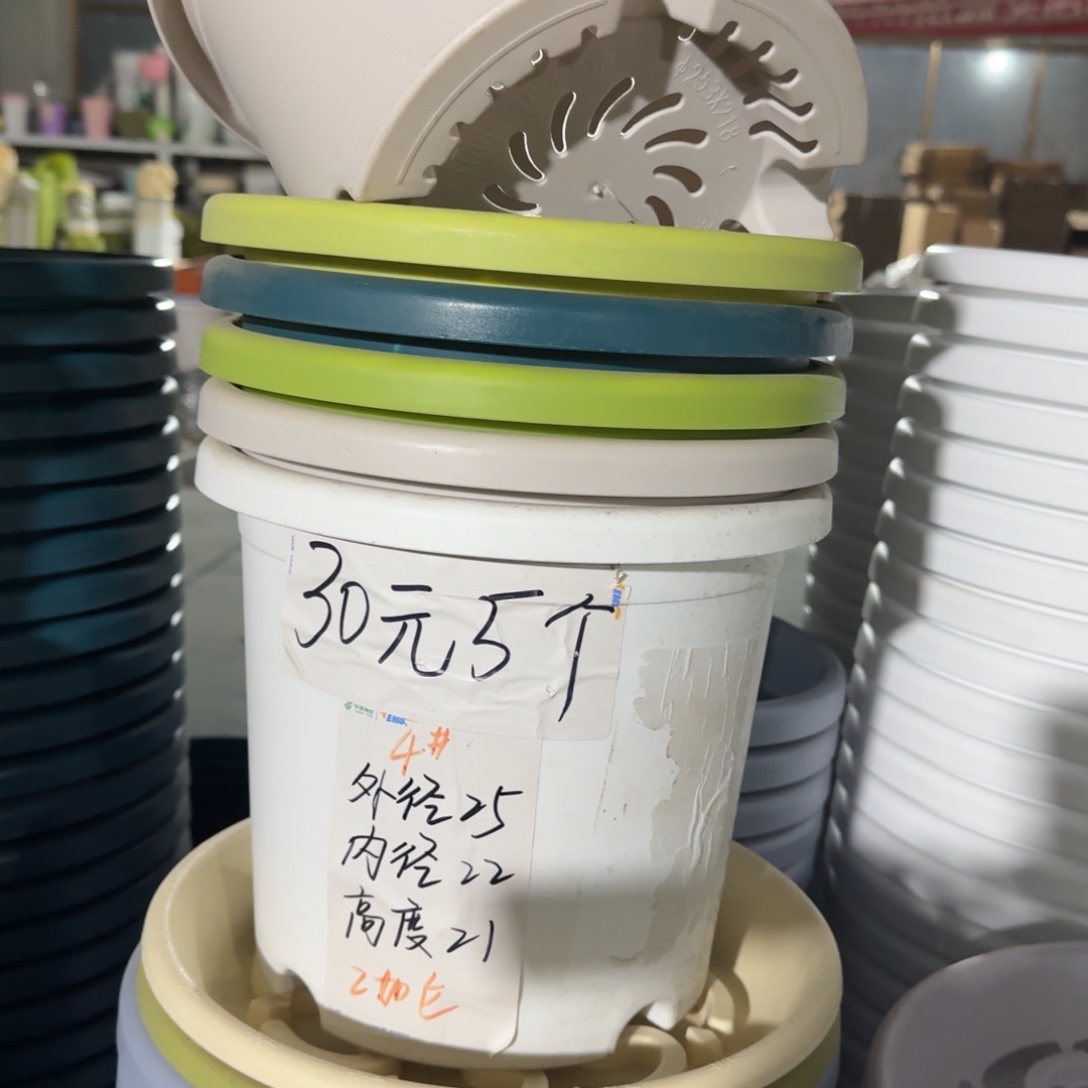四季4#口径25无拖果绿8个