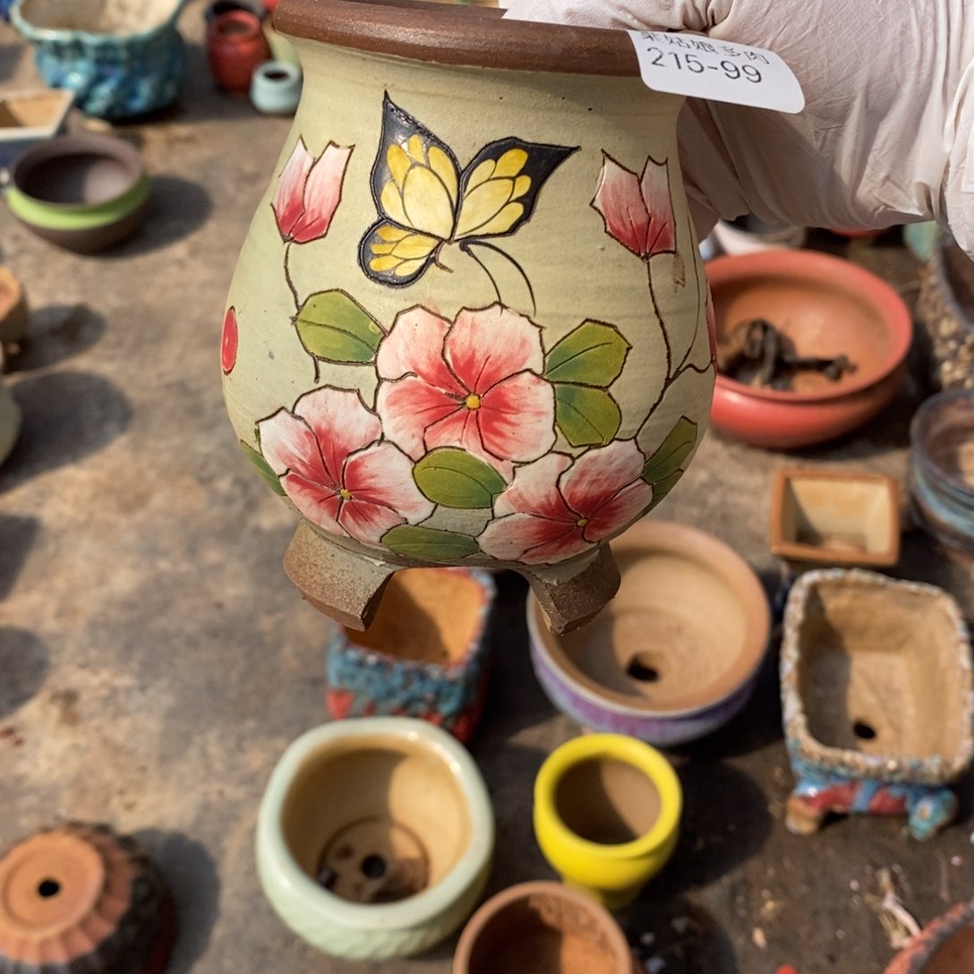 红陶@*湘99号多肉盆一个呀