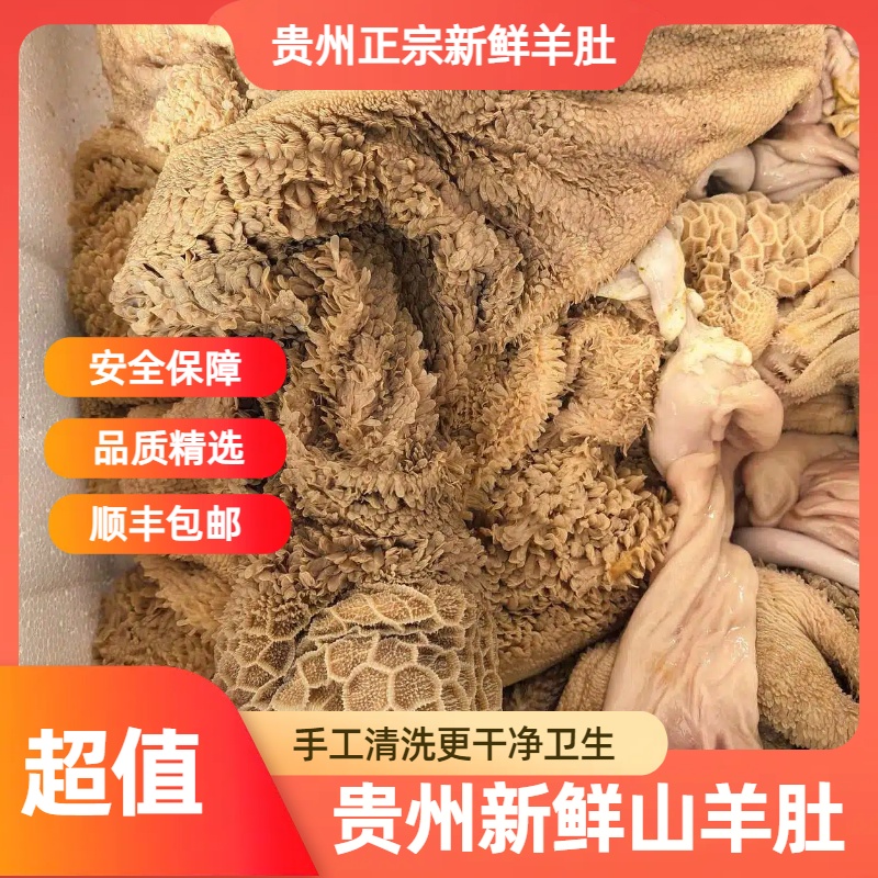 贵州散养山羊肚子顺丰冷链发货