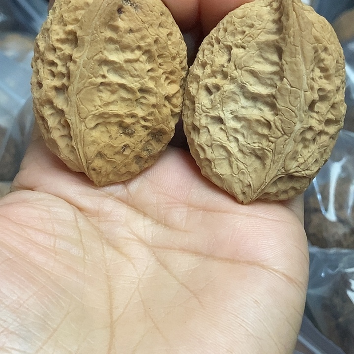 把件文玩核桃云南铁核桃基地9