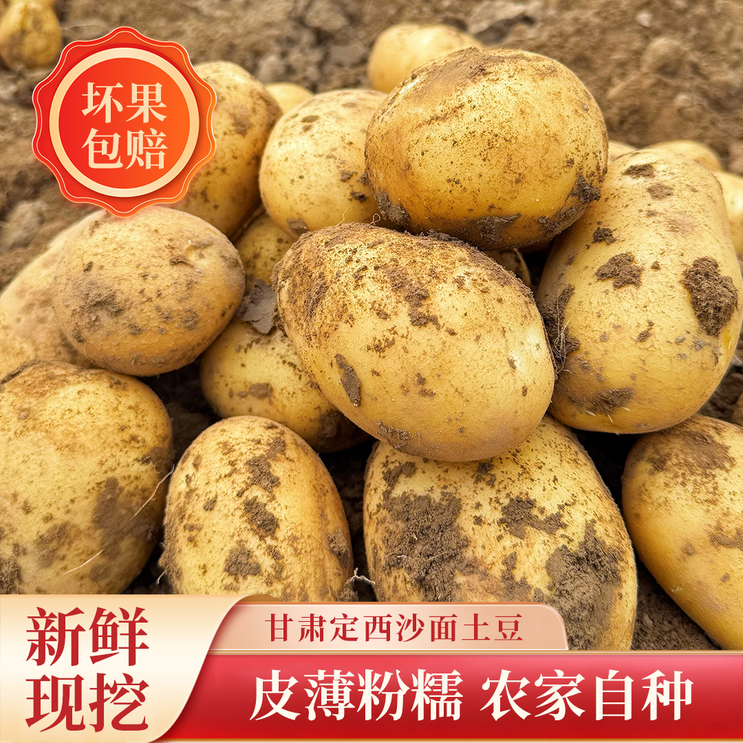 2025新挖9斤装中大果甘肃定西黄皮黄心土豆