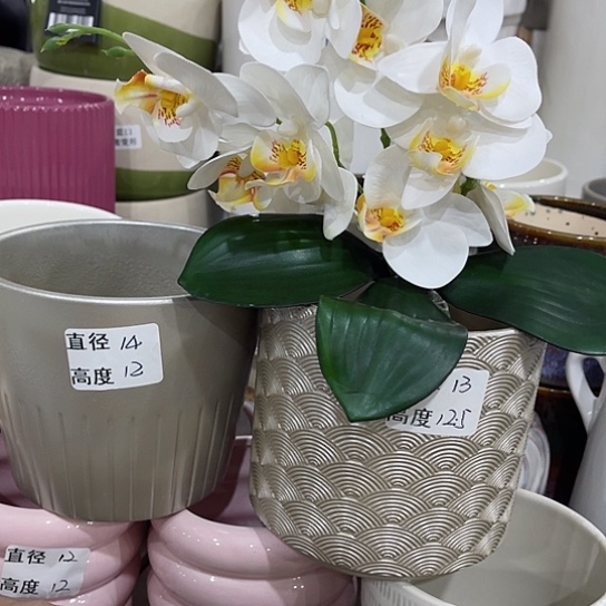 多肉绿植陶瓷花盆9.9包邮，有孔
