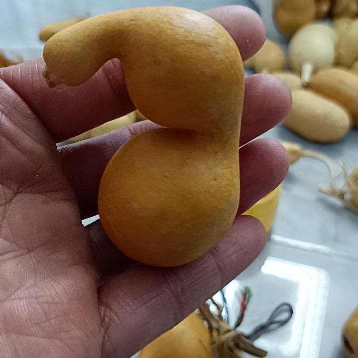 l**u葫芦葫芦葫芦葫芦