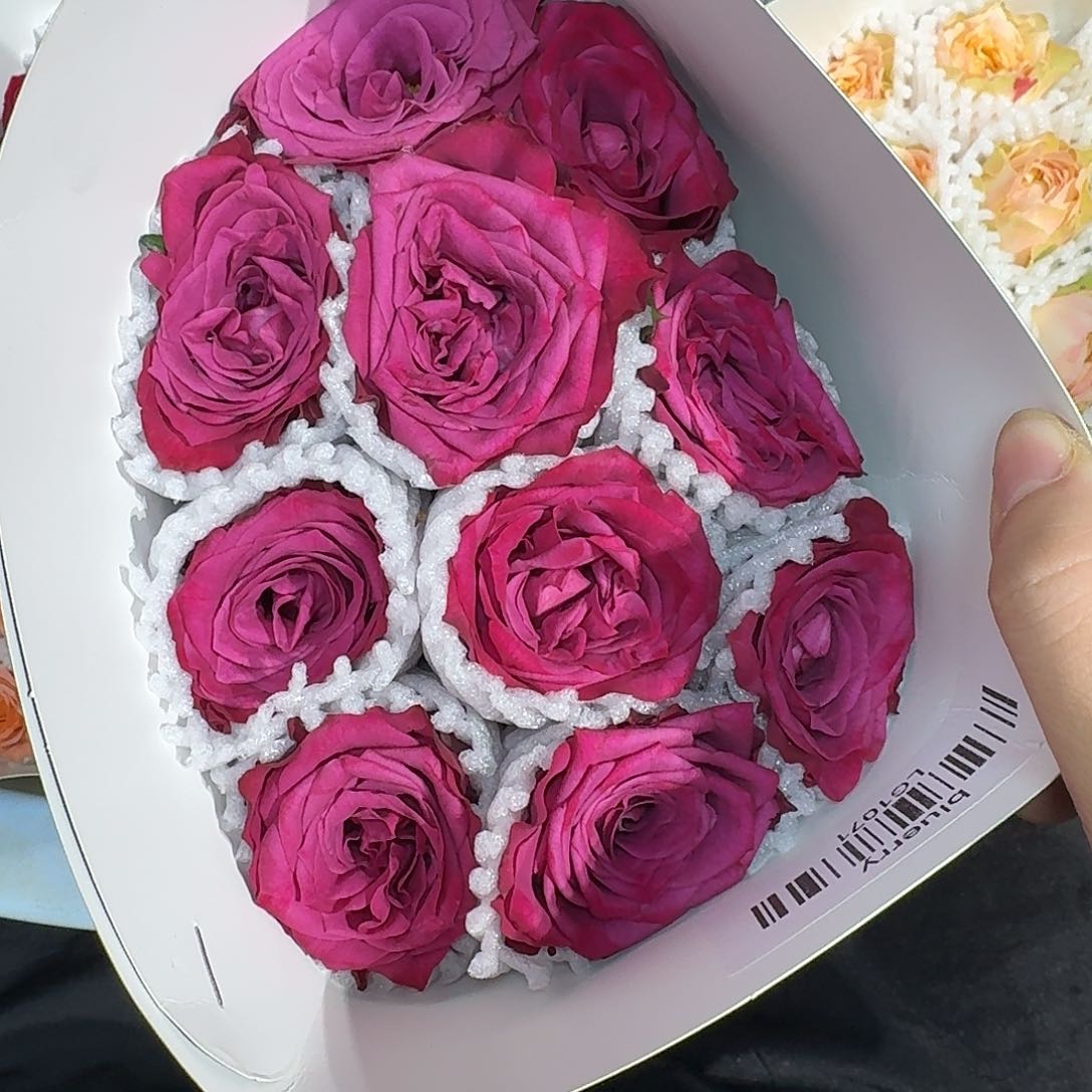 蓝莓10！任选三件顺丰空运包邮