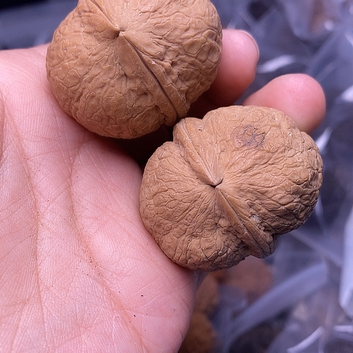 把件文玩核桃   209