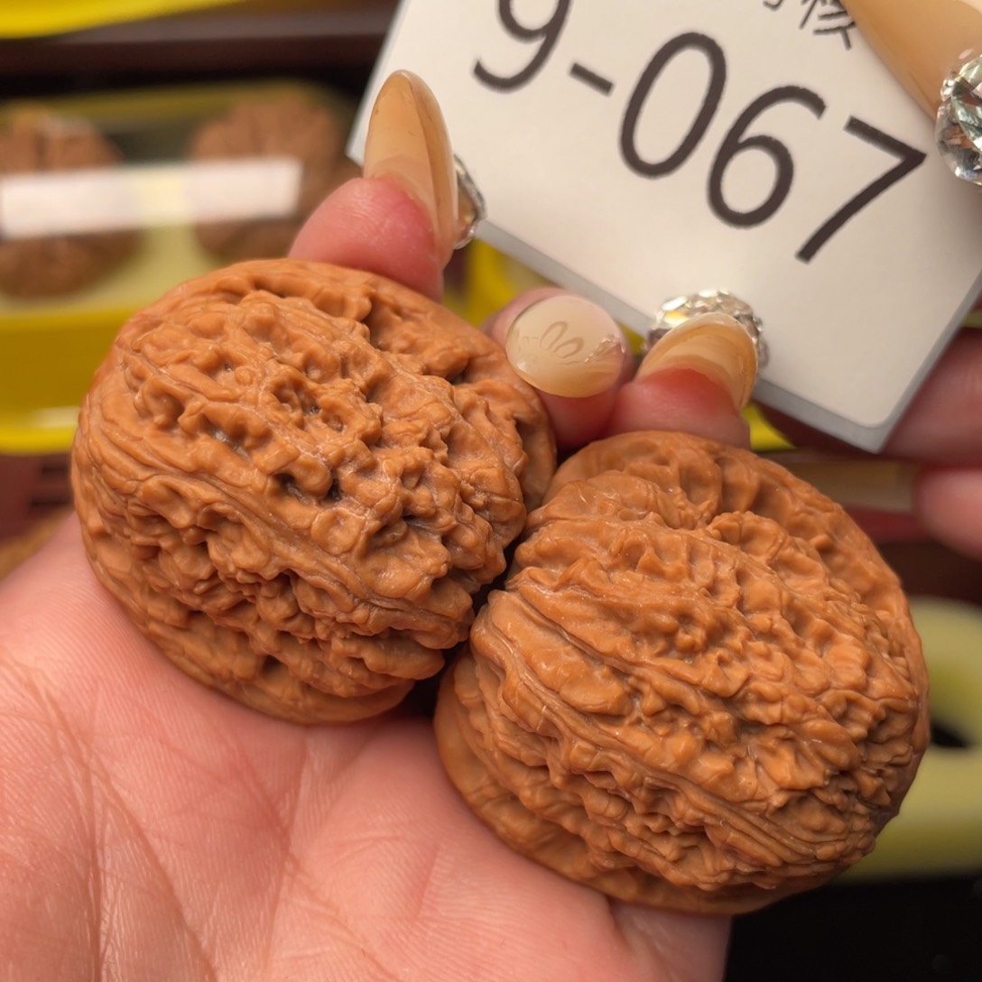 文玩核桃把件38红皮南疆石