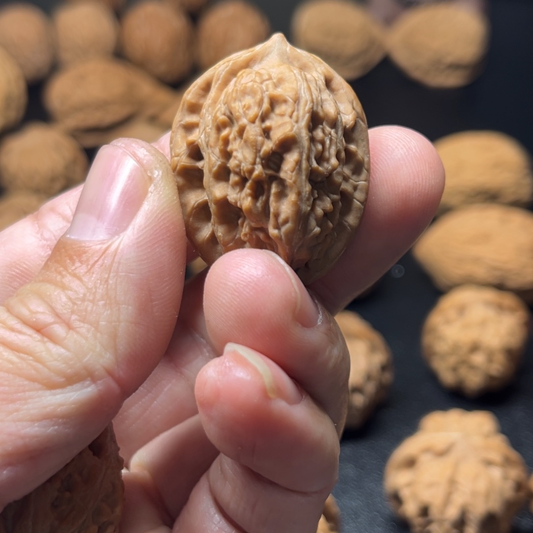 静***姐吊坠文玩核桃一物一拍不喜勿怕