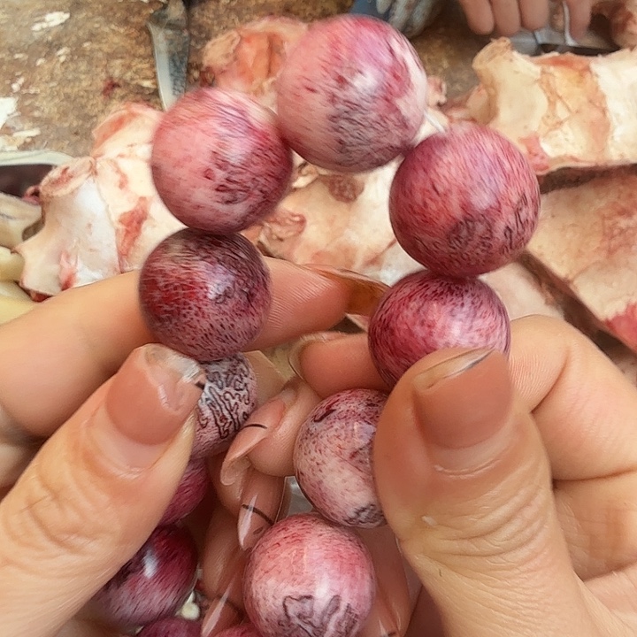 猫***熊养殖鹿骨三界珠2.0六颗