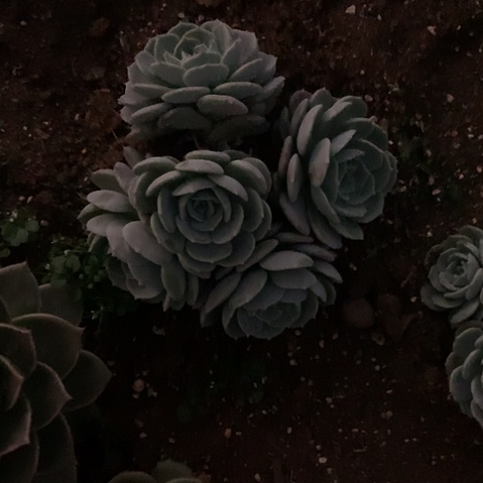 静*好美肉特价活动开始了