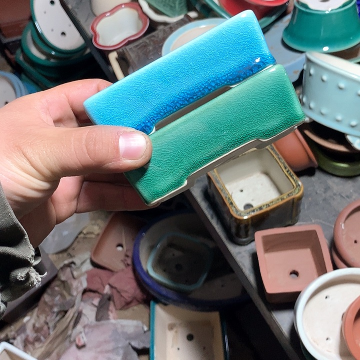 紫砂哈哈真的超级可爱哈哈哈