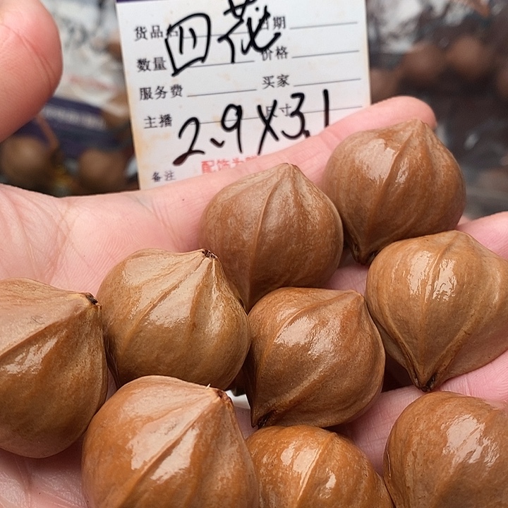 手串/手链橄榄核火**羽