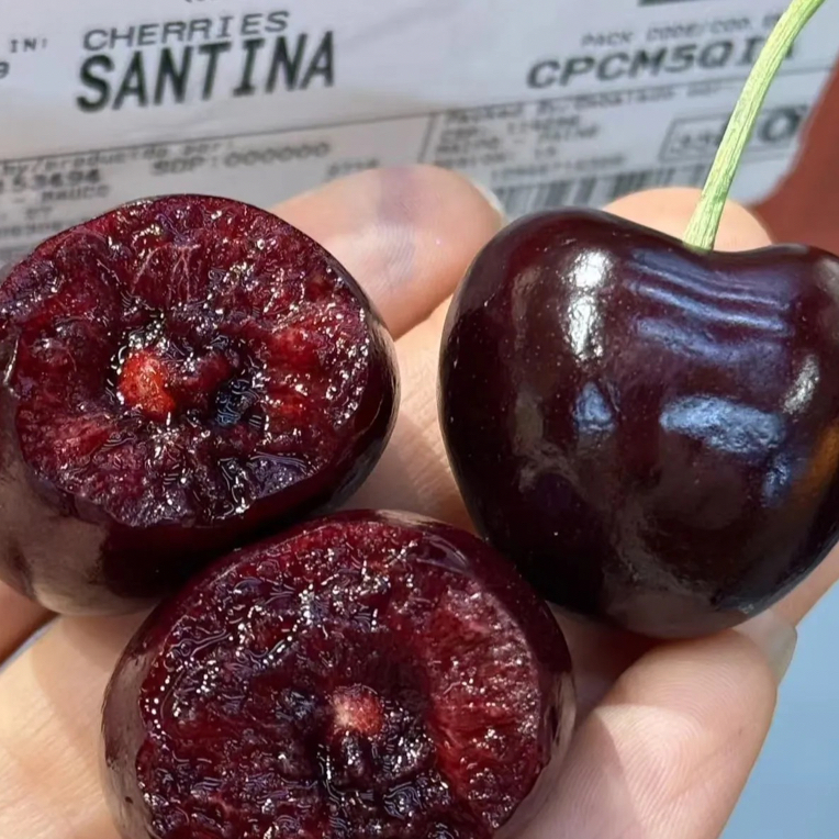 海运智利车厘子4JD 一箱 5斤装智利