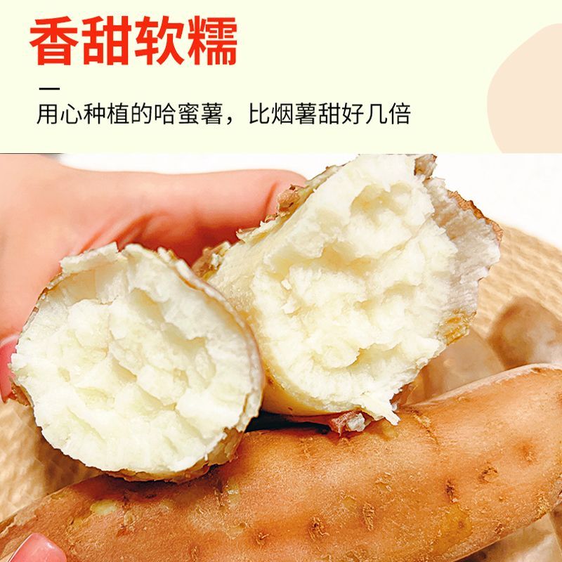 新疆哈密冰糖心蜜薯 粉糯香甜新疆直发