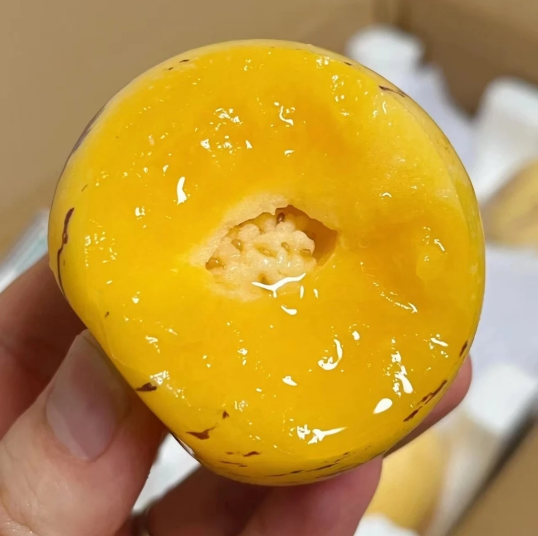 SS云南树上熟当季人参果黄果黄肉新鲜采摘云南特产整箱5斤