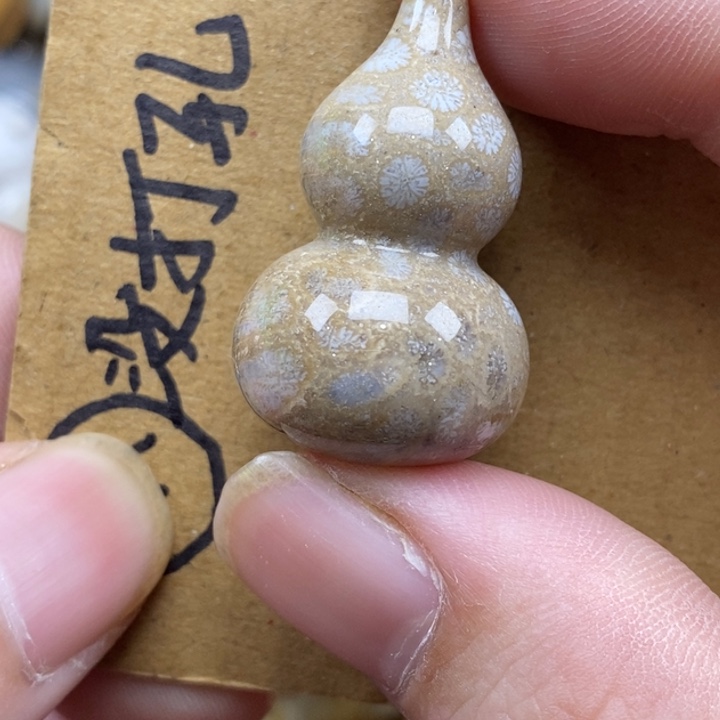 硅化珊瑚（珊瑚玉）未镶嵌颈饰