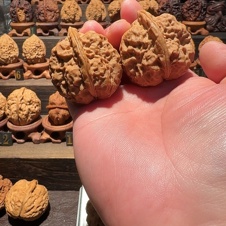 核桃古柏金蟾40尺