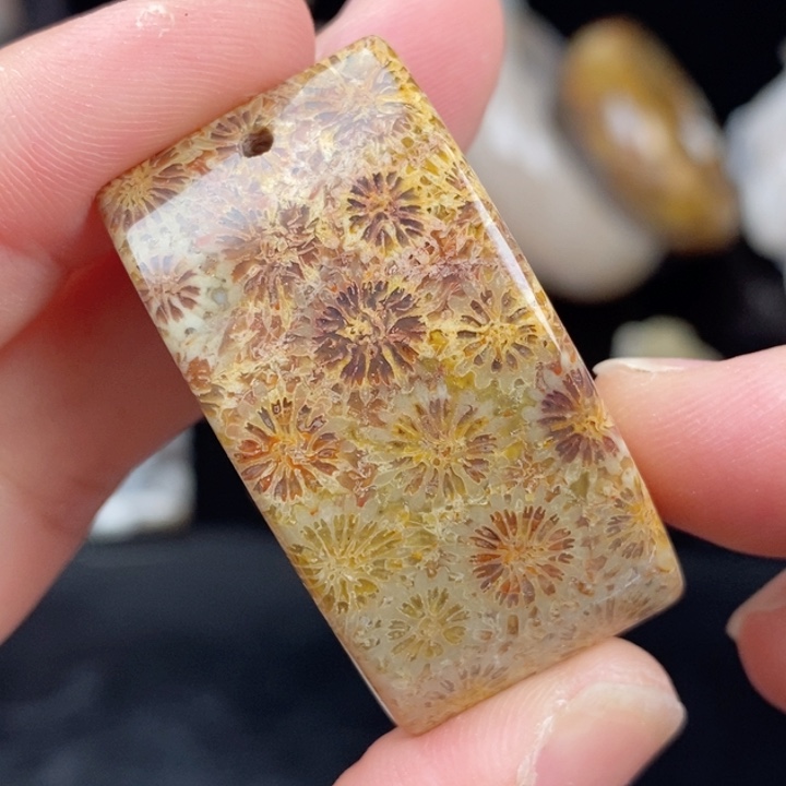 未镶嵌手镯（圆镯）硅化玉