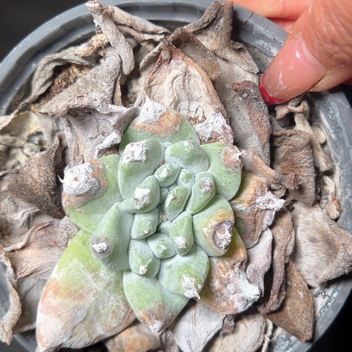 1362哈哈哈哈哈哈哈哈