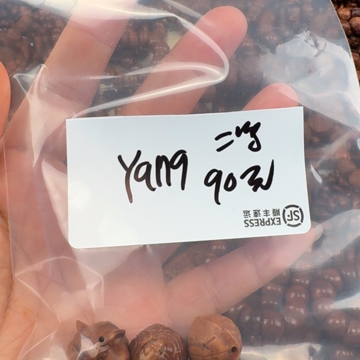 吊坠库克发光树的种子