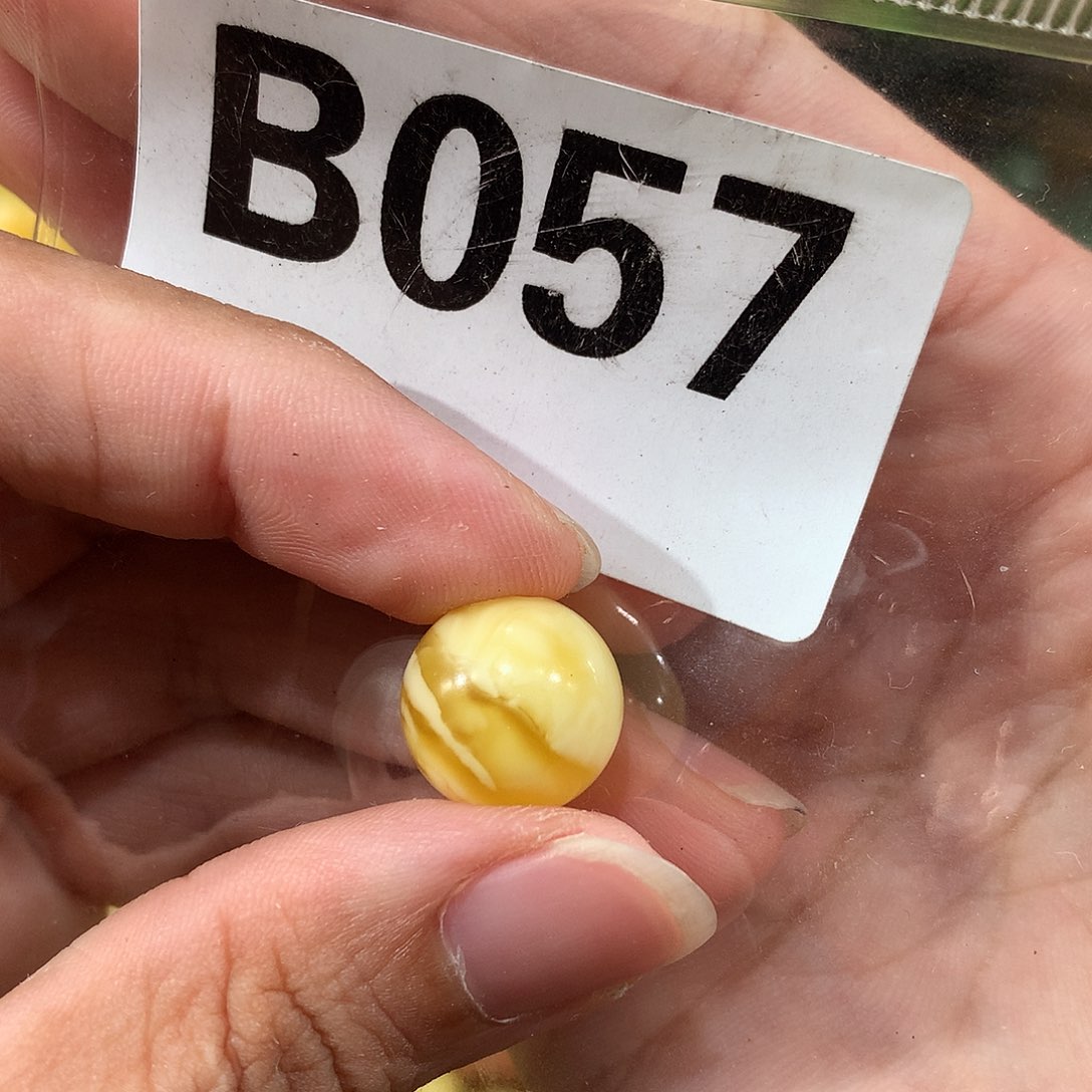 未镶嵌琥珀珠宝奇石