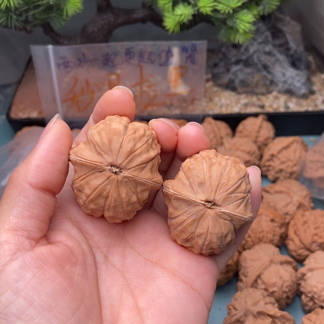 梦***营文玩核桃把件龟甲纹8