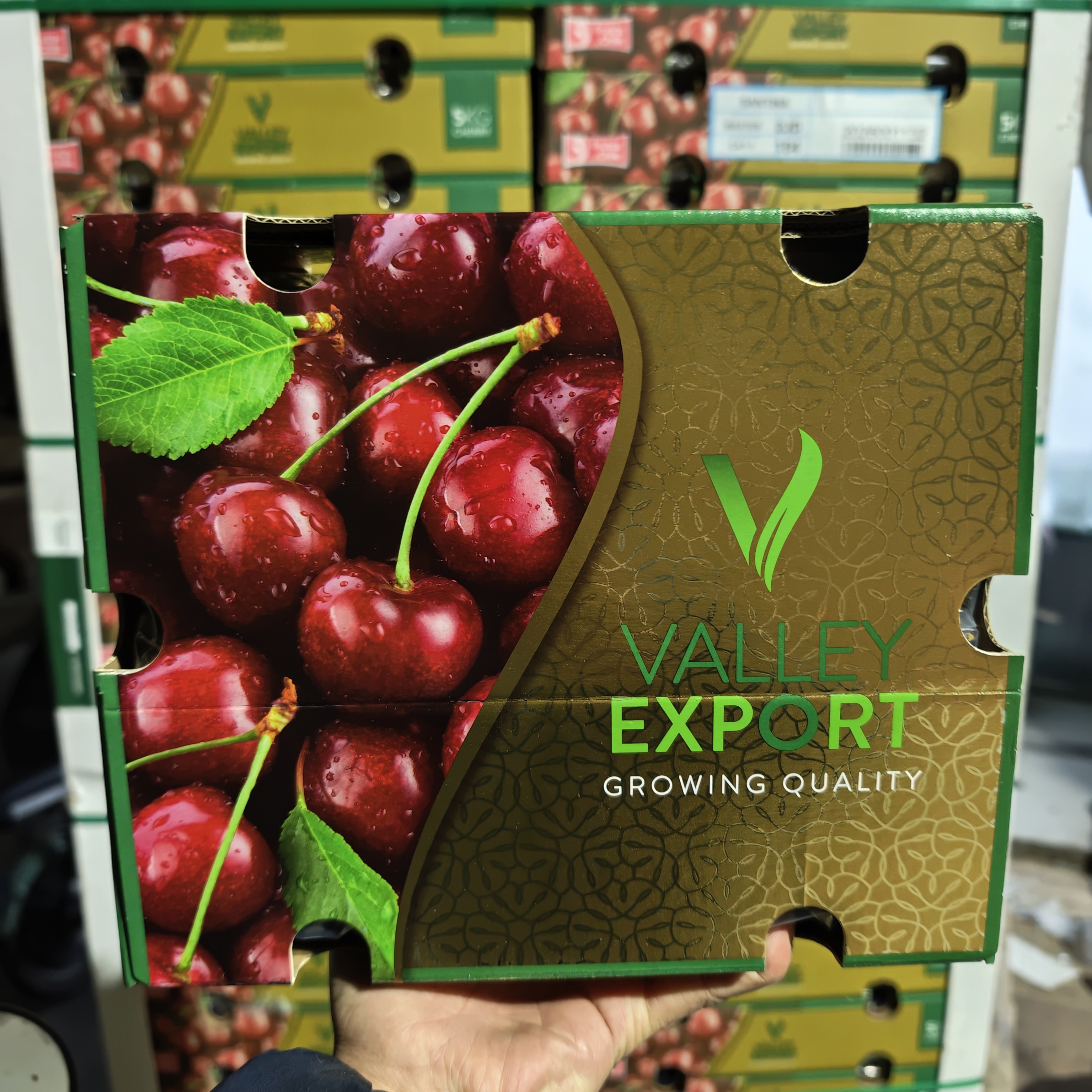 「海运」绿V智利车厘子桑提娜2J3J5斤（新鲜当季）-内附果径卡桑提娜樱桃智利共和国