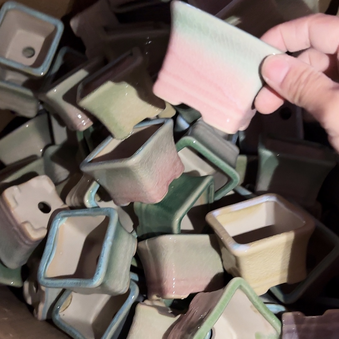 量货/6口5高深浅搭配发6