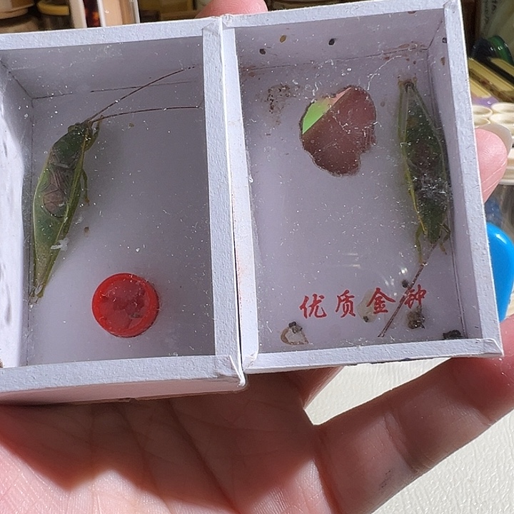 短须套餐单口加连口