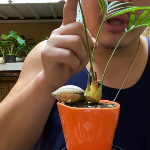 红陶飞**天一物一拍所见即所得301