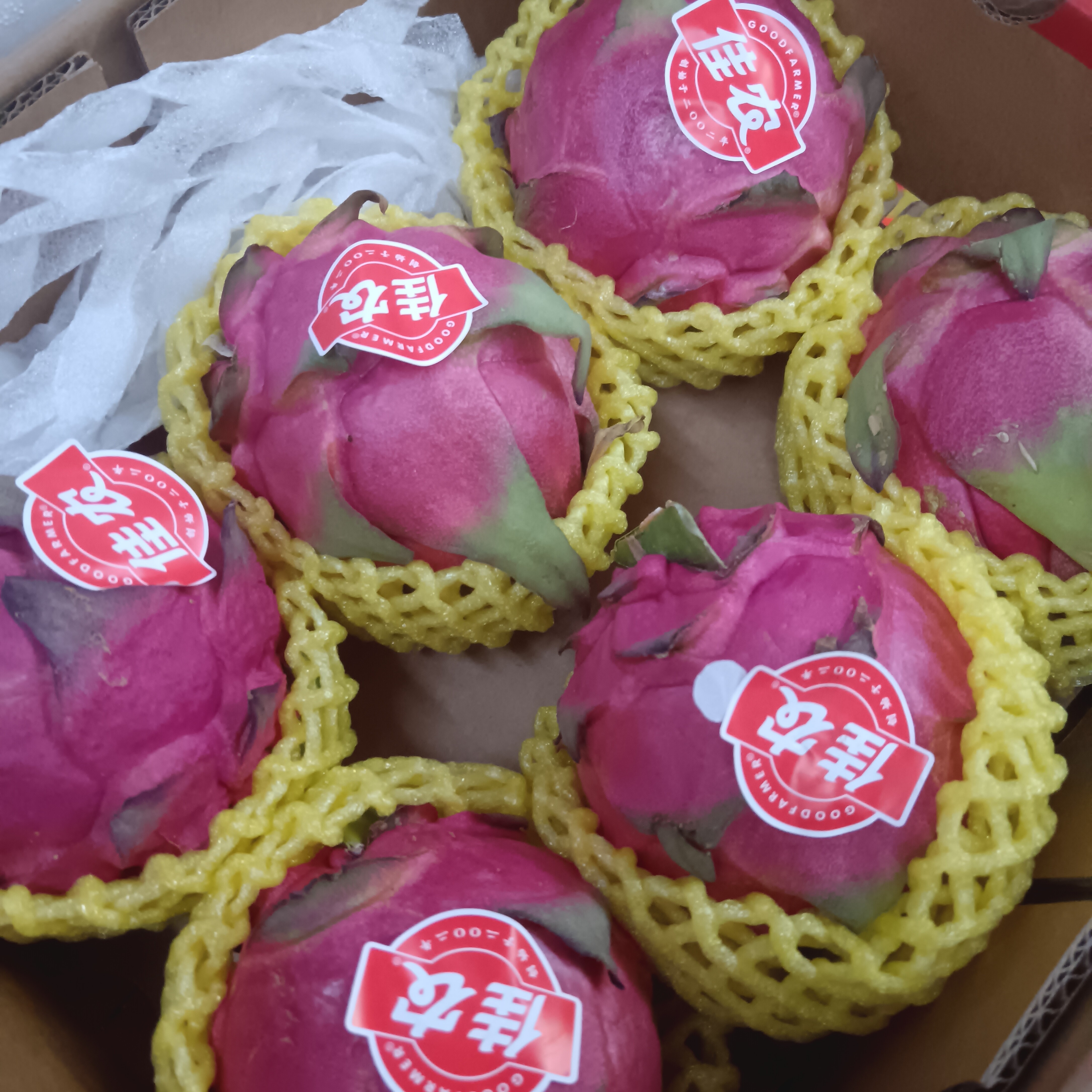 佳农红芯火龙果整箱