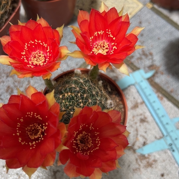 g h j j k k k k k k k