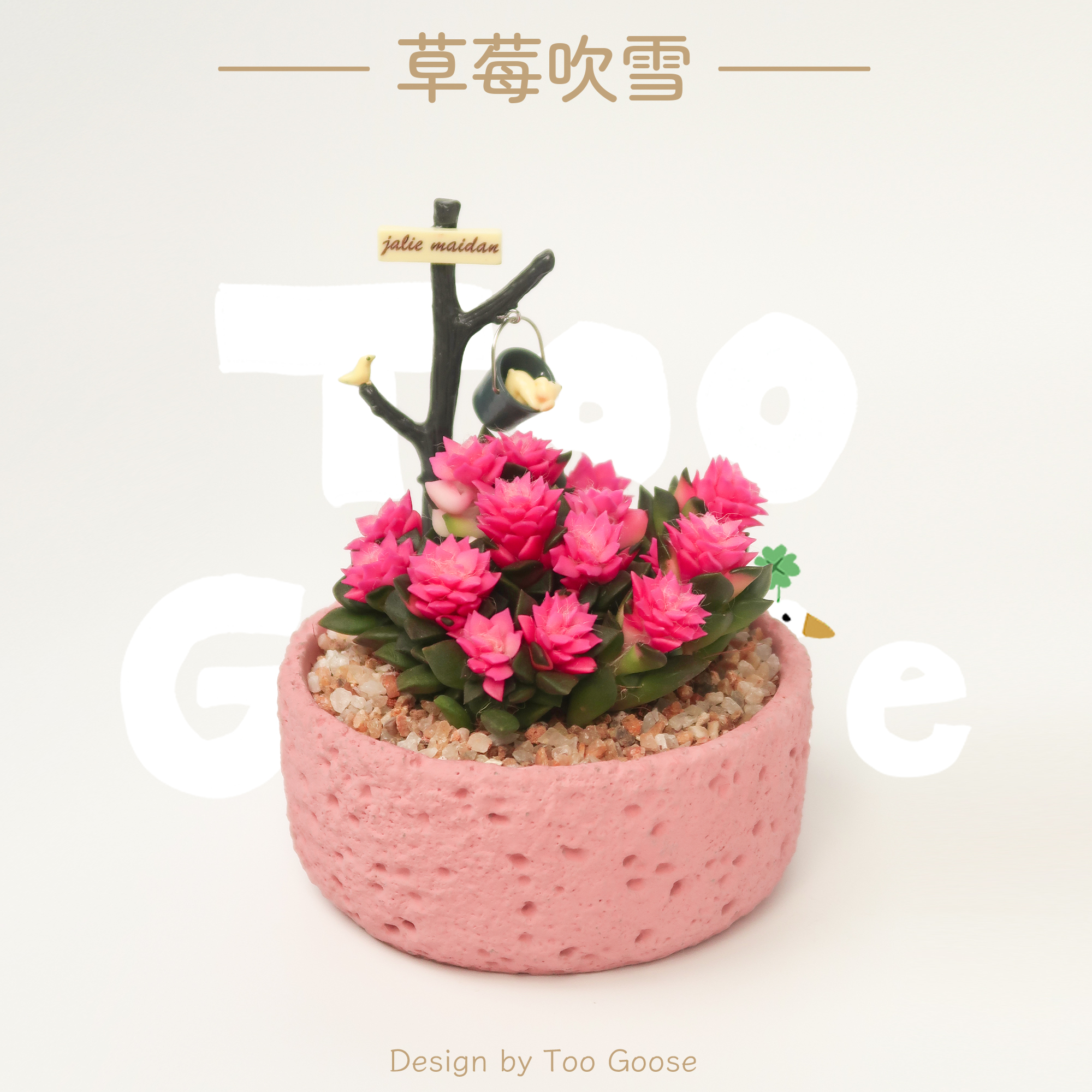【呆鹅家-草莓吹雪】吹雪之松多肉礼物可爱植物室内好养绿植桌面