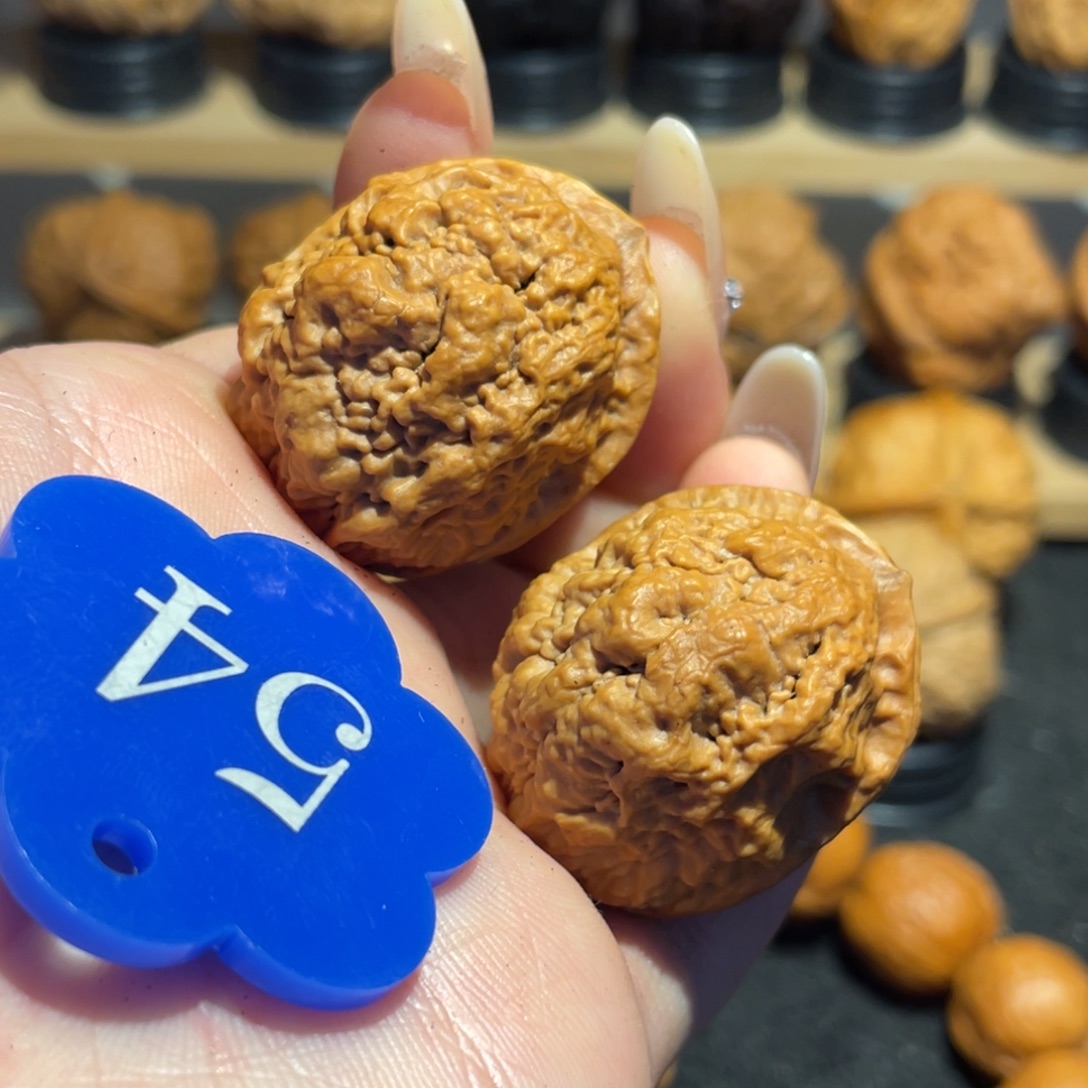 血舍利核桃34。   