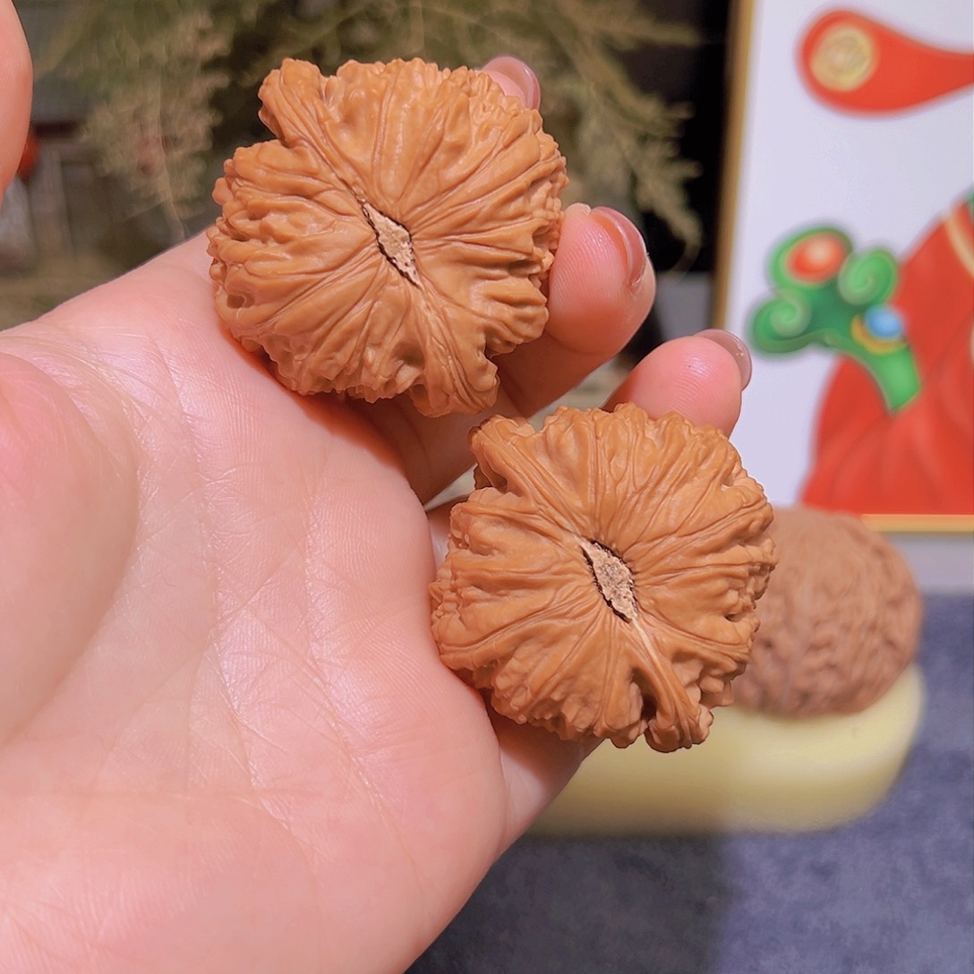 文玩核桃吊坠干*株白狮子43