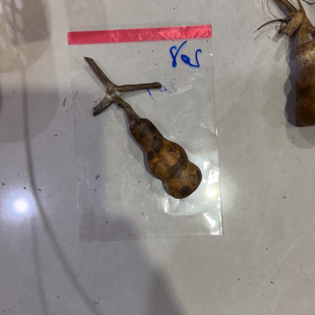 阿***姐葫芦咯哦老婆咯旅途落寞哦