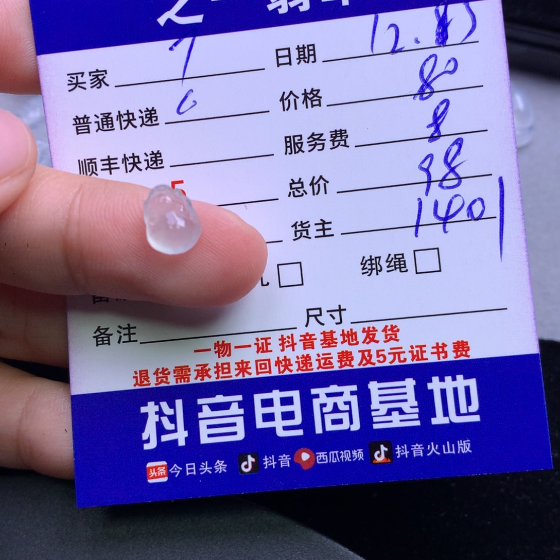 颈饰未镶嵌翡翠T**~