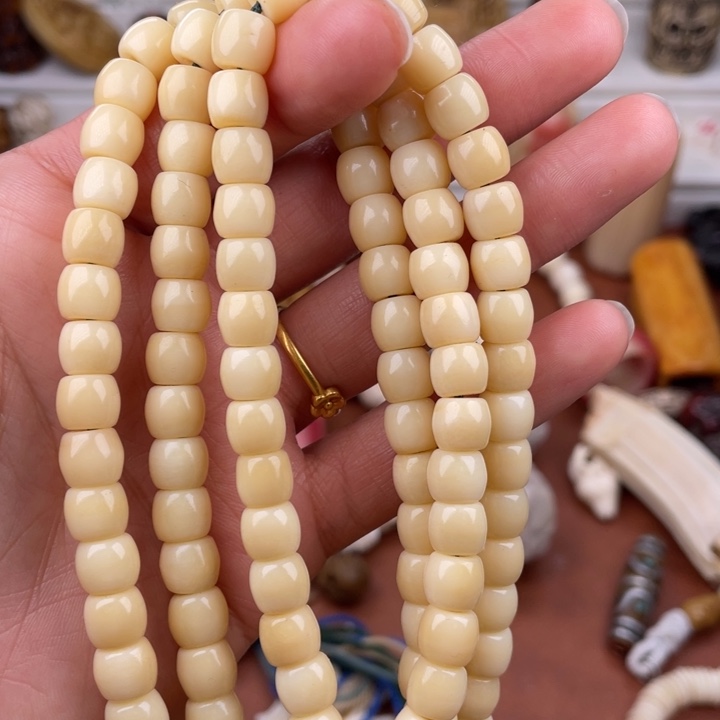 驼骨其他骆驼骨直切8/7