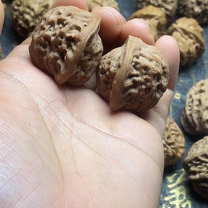 ^***边桃核吊坠野生小蛇头