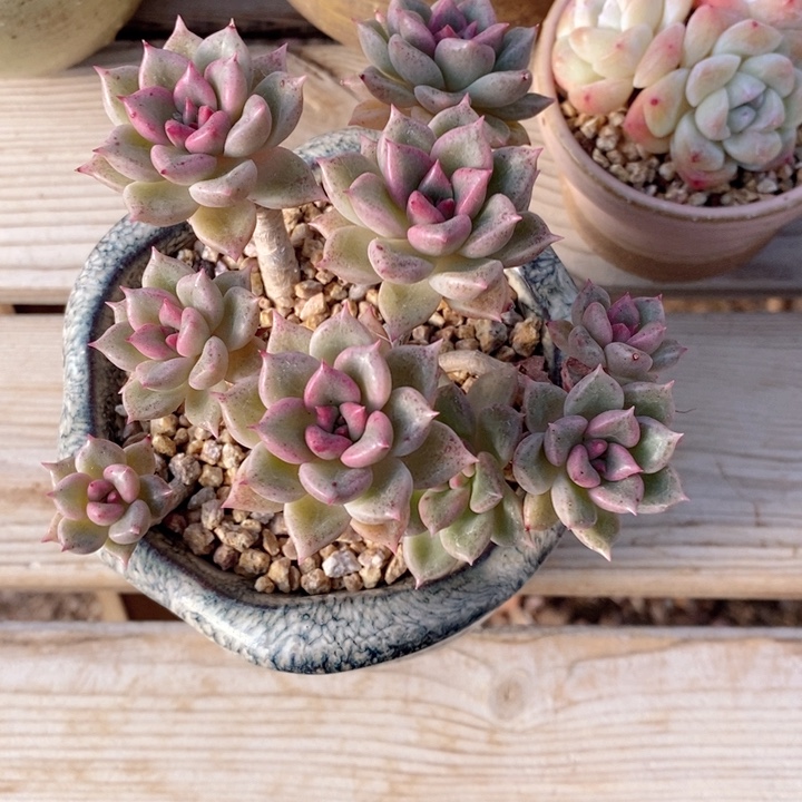 璀璨 韩货精品1122