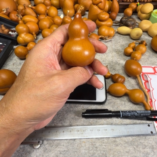 兰***葵蛮亏的，一把一把紫皮葫芦蓝蓝葵