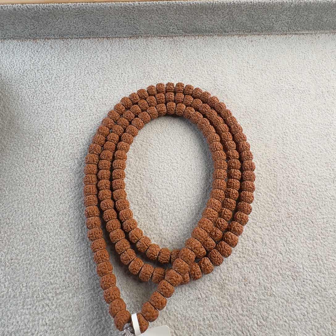 金刚菩提吊坠精挑红皮一代龙一等➕