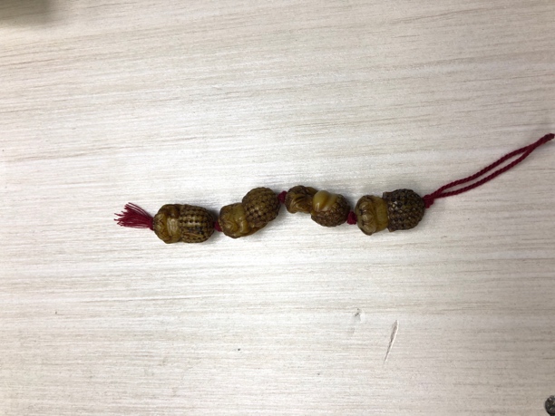 304号特色花梨木手把件
